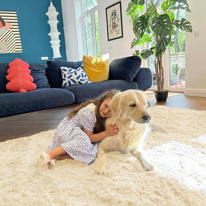 OLANLY 5x7 Machine Washable Large Area Rugs for Living Room, Bedroom, Soft Fluffy Shaggy Bedside Rug, Indoor Floor Carpet for Kids Girls and Boys, Dorms, Nursery, Home Decor Aesthetic, Cream
