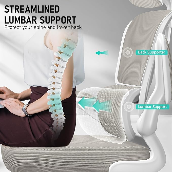 High Back Ergonomic Office Chair, Breathable Mesh Desk Chair with Lumbar Support, Adjustable Headrest, Flip-up Armrests, Computer Gaming Chair, (LightGray, 1Pack)