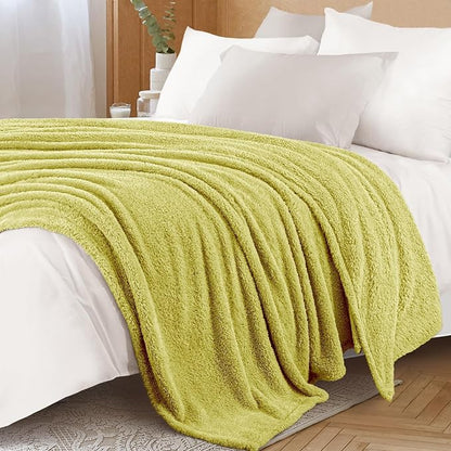Exclusivo Mezcla Fleece Twin Size Bed Blanket, Ultra Soft, Lightweight and Fuzzy Light Green Blanket for Women, Home Decor, 60x80 Inches