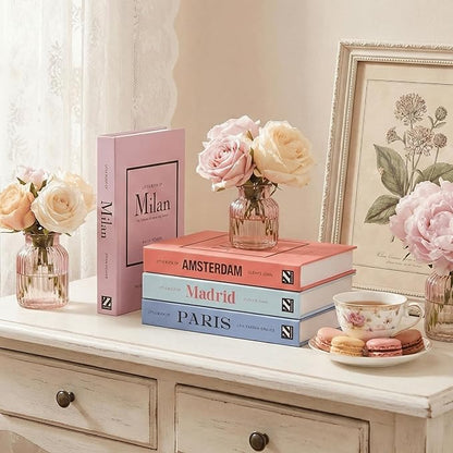 Pastel Medium | 4 PCS Faux Decorative Books for Home Decor | Not Real Books (Cardboard Boxes) | Coffee Table, Shelf Styling & Modern Aesthetic Accent Pieces for Living Room, Office