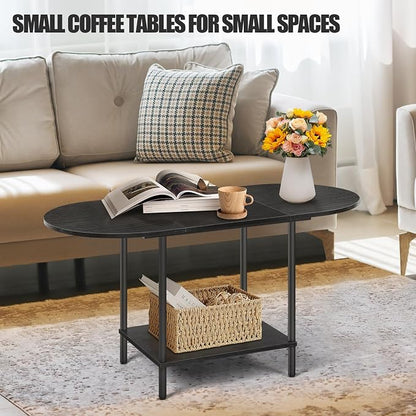 Black Coffee Tables for Living Room,Mid Century Oval Small Center Table with Storage Shelf and Wood Tabletop,2-Tier Farmhouse Low Cocktail Tea Table for Small Space,Apartment