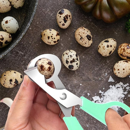 AHIER Pigeon Quail Egg Cutter Scissors Stainless Steel Blades Bird Cutter 2 Pack