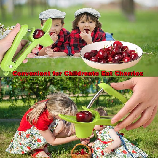 Cherry Pitter Tool, Heavy-Duty Stainless Steel Pitting Tool, Portable Cherries Corer Stoner Seed Tool with Lock Design, Fruit Pit Remover for Cherry Jam (Green)