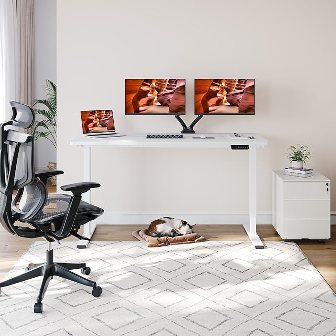 Dual Motor Standing Desk, Large Stand Up Desks, 63x28 Inches Electric Sit Stand Desks, 4 Memory Preset Adjustable Height Desk Home Office Desks(White)