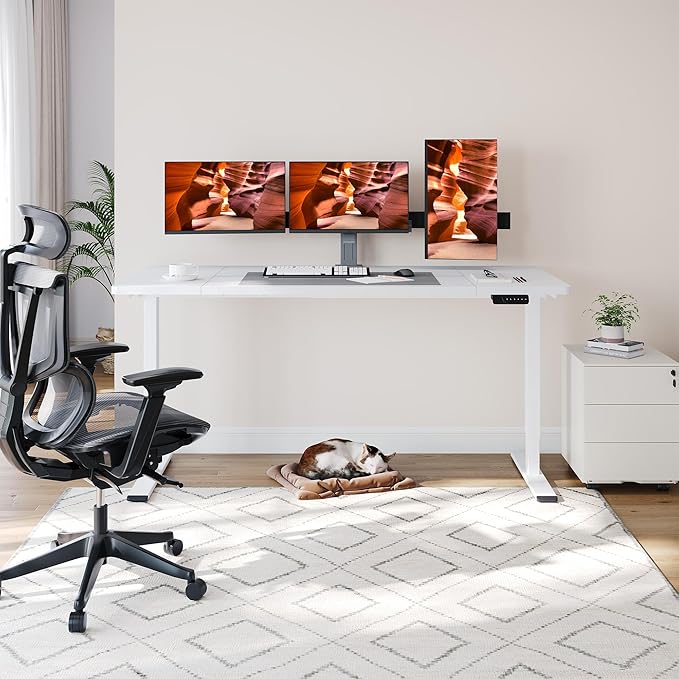 Dual Motor Standing Desk, Large Stand Up Desks, 71x31 Inches Electric Sit Stand Desk, 4 Memory Preset Adjustable Height Desks Home Office Desks(White)
