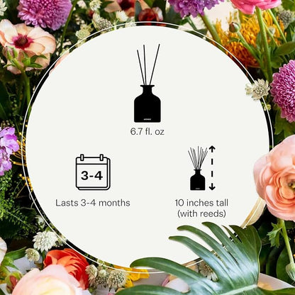 Apotheke Luxury Scented Reed Diffuser for Home, White Vetiver - 6.7 Fl Oz Essential Oil Aromatherapy - 10 Rattan Scent Sticks Room Diffuser - Long-Lasting Fragrance for Bedroom, Home, Bathroom