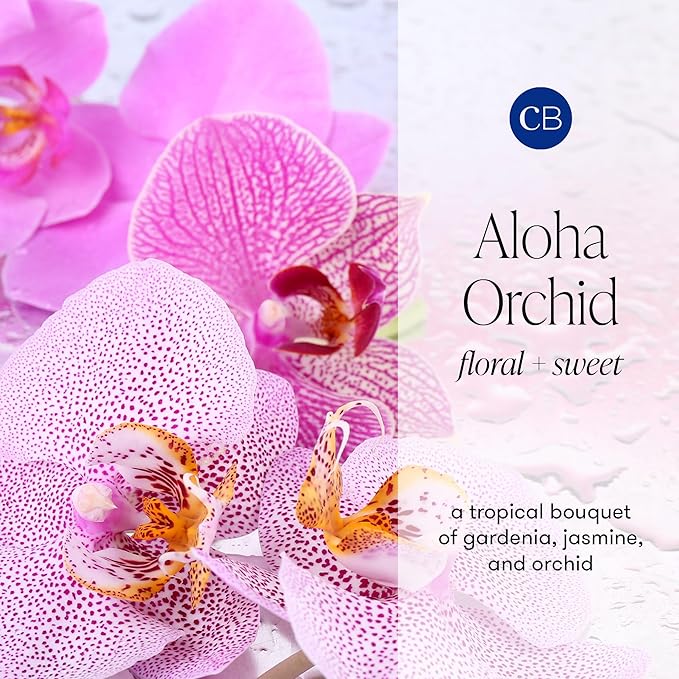 Capri Blue Aloha Orchid Reed Diffuser Set - Includes Scented Diffuser Oil, Diffuser Sticks, and Mercury Iridescent Glass Bottle - Scent Diffusers for Home (5.7 fl oz)