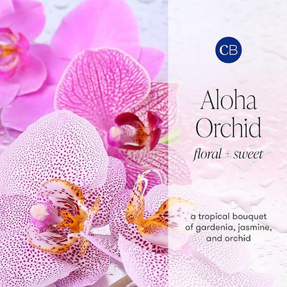 Capri Blue Aloha Orchid Reed Diffuser Set - Includes Scented Diffuser Oil, Diffuser Sticks, and Mercury Iridescent Glass Bottle - Scent Diffusers for Home (5.7 fl oz)