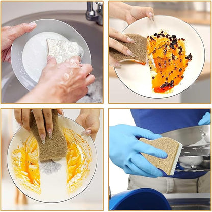 Natural Kitchen Sponges, Biodegradable & Compostable | Non-Scratch Cellulose Coconut Fiber Sponges for Dishes, Pots & Pans | Eco-Friendly Cleaning Sponge (12)