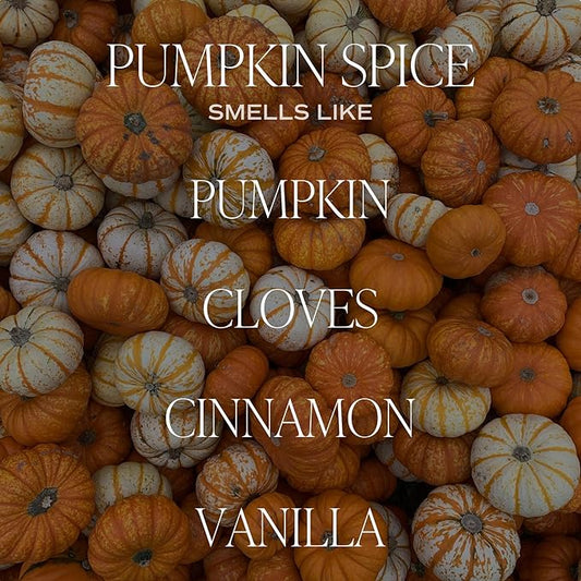 Sweet Water Decor Pumpkin Spice Reed Diffuser Set - Pumpkin, Cloves, Cinnamon, and Vanilla Fall Scented Diffusers - Scent Diffusers for Home, Long Lasting Fragrance, Made in The USA