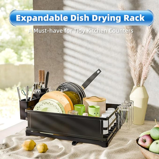 Simple Trending Dish Drying Rack, Dish Drainer for Kitchen Counter, Dish Rack with Tray for Large Capacity, Black