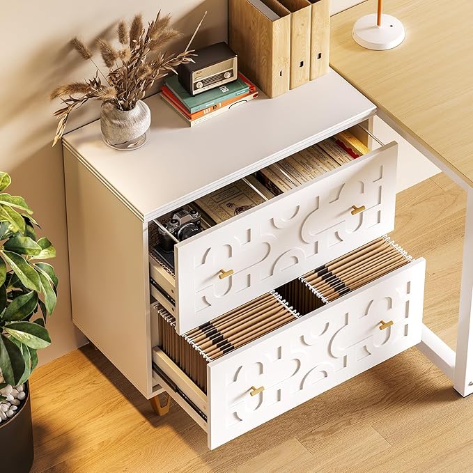 LITTLE TREE 2-Drawer File Cabinet, Under Desk Office Storage Cabinet for Letter Size File Folders with Tabs, Printer Stand, Fitting A4, Modern Home Office Organizer, White