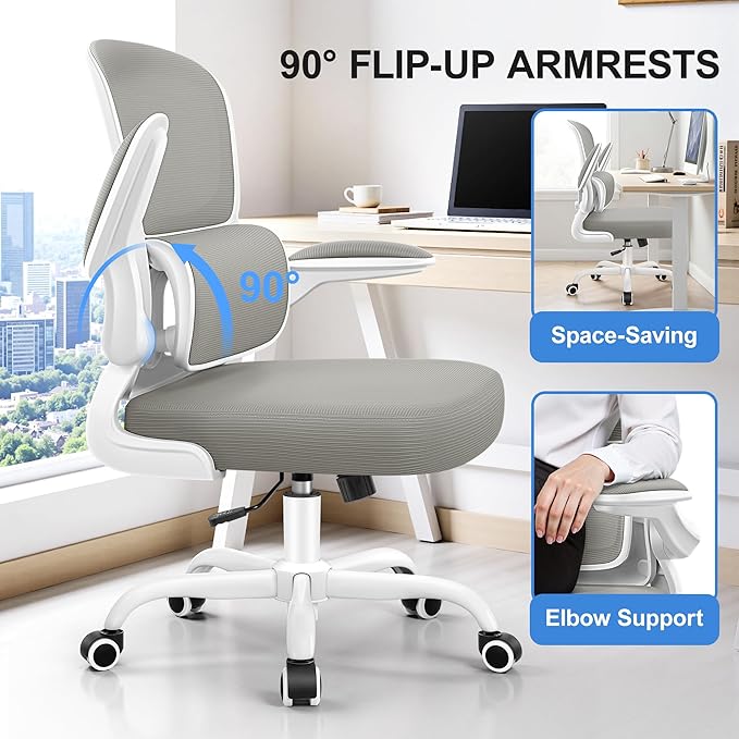 Ergonomic Office Chair, Breathable Mesh Ergonomic Desk Chair with Adjustable Lumbar Support, Flip-up Armrests, Computer Chairs Comfortable for Home, Office, Work, 300lbs, LightGray