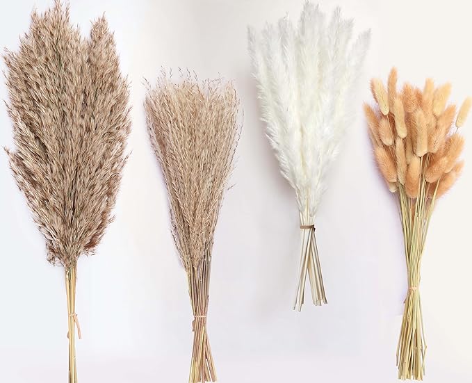 100 Stems Dried Pampas Grass, Boho Table Decor Natural Reed Phragmites Grass, Fluffy Large Pampas Grass, Bunny Tails Flowers Bouquet for Wedding Floral Arrangements Farmhouse Home, Wall Rustic Party