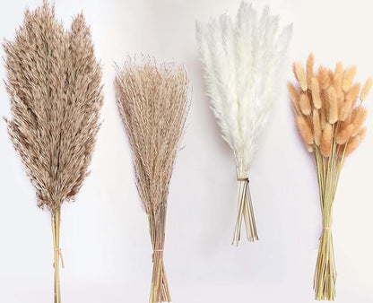 100 Stems Dried Pampas Grass, Boho Table Decor Natural Reed Phragmites Grass, Fluffy Large Pampas Grass, Bunny Tails Flowers Bouquet for Wedding Floral Arrangements Farmhouse Home, Wall Rustic Party
