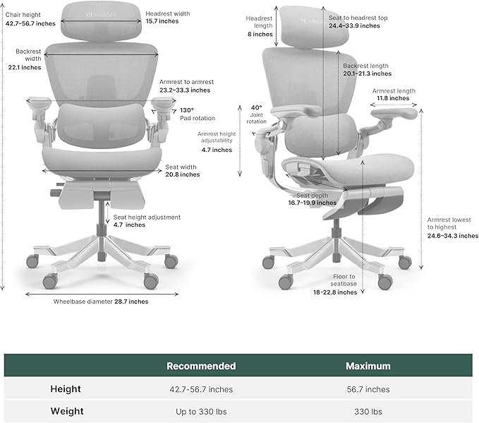 HINOMI H2 Pro Premium Ergonomic Office Chair - Comfy Home Office Desk Computer Chair with Adjustable Back Support, Swivel Wheels, Flip-up Arms, Comfortable Mesh Seat for Desk Work (Black)