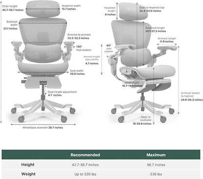 HINOMI H2 Pro Premium Ergonomic Office Chair - Comfy Home Office Desk Computer Chair with Adjustable Back Support, Swivel Wheels, Flip-up Arms, Comfortable Mesh Seat for Desk Work (Black)