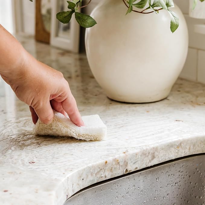 Full Circle Coconut Scrubber Sponges, Pack of 6 – Dual-Sided, Plant-Based Sponges Made with Coconut Shells, Cellulose & Recycled Materials, Safe for Nonstick Cookware