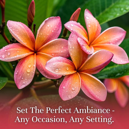 P&J Trading Fragrance Oil | Plumeria Oil 30ml - Candle Scents for Candle Making, Freshie Scents, Soap Making Supplies, Diffuser Oil Scents