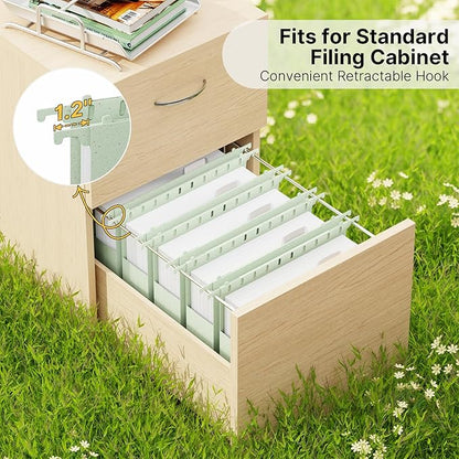 XINGIA Wheat Straw Plastic Hanging File Folders Letter Size,Heavy Duty 2 Inch Expansion,12 Pack Extra Capacity Hang Folders for Filing Cabinet,File Organizer with Insertable Tabs(Morandi Green)