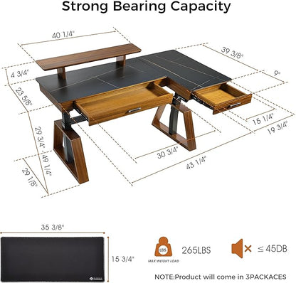 EUREKA ERGONOMIC Electric Standing Desk with Dual Drawers,Rock Slab-Black