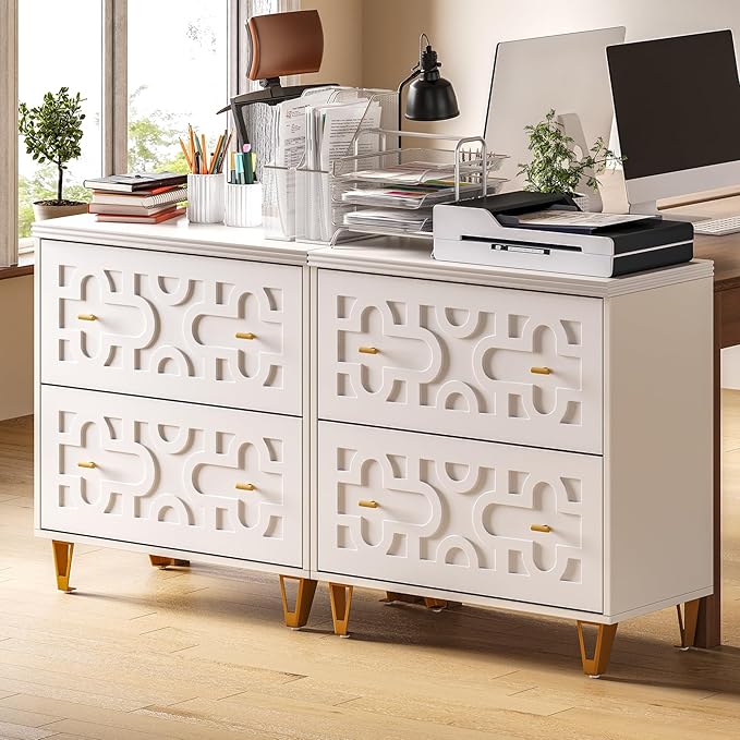 LITTLE TREE 2-Drawer File Cabinet, Under Desk Office Storage Cabinet for Letter Size File Folders with Tabs, Printer Stand, Fitting A4, Modern Home Office Organizer, White