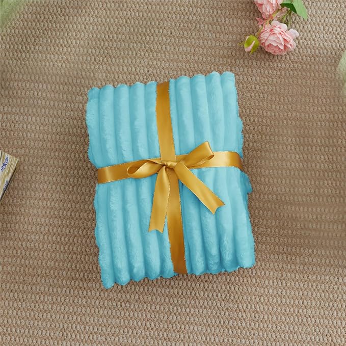 BEDELITE Fleece Throw Blanket for Couch - 300GSM Soft & Warm Fluffy Sky Blue Blanket, Decorative and Giftable Striped Blankets for Women, Men, 50"x60"