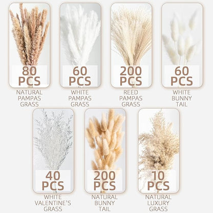 650PCS Natural Dried Pampas Grass Boho Home Decor Bouquet Phragmites Dried Flowers Bouquet for Wedding Floral Arrangements Home Decorations (650PCS)