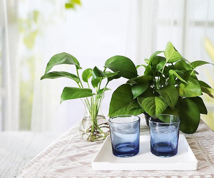 Small White Serving Tray (8.5 x 6.3 inch) for Serving Accessory, Spa, Coffee, Drinks, Wine, Tea, Bar, Party, Seasoning, Perfume or Display Use.