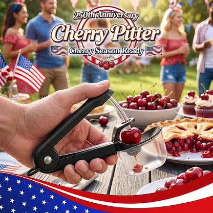 Cherry Pitter Tool Cherries Pitter Stainless Steel Rod for Making Cherry Jam with Lock Design(Black)