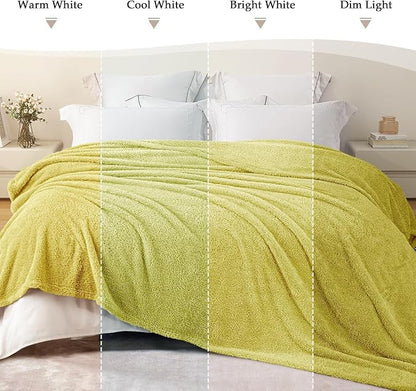 Exclusivo Mezcla Fleece King Size Bed Blanket, Ultra Soft, Lightweight and Fuzzy Light Green Blanket for Women, Home Decor, 90x104 Inches