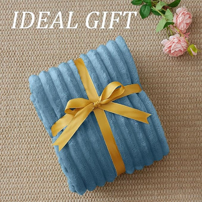 BEDELITE Twin Blanket for Couch & Bed, 300GSM Soft & Warm Fleece Blanket, Decorative and Giftable Striped Light Blue Blankets for Women, Men, 60"x80"