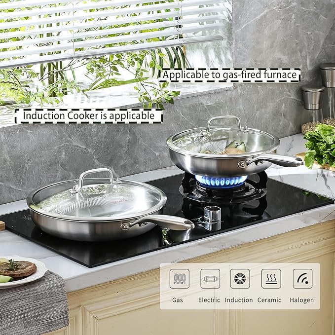 DELARLO Stainless Steel Pan 10.3Inch, Triply Stainless Steel Frying Pan with Lid, Heavy Duty, Compatible with Induction, Gas and Electric up to 650℉, Fast & Even Heating, Dishwasher, Oven Safe Skillet