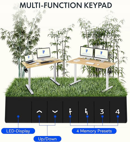 FLEXISPOT EN1 Bamboo Standing Desk, 48 x 24 Inches Whole-Piece Electric Height Adjustable Desk (Silver Frame + Bamboo Top, 2 Packages)