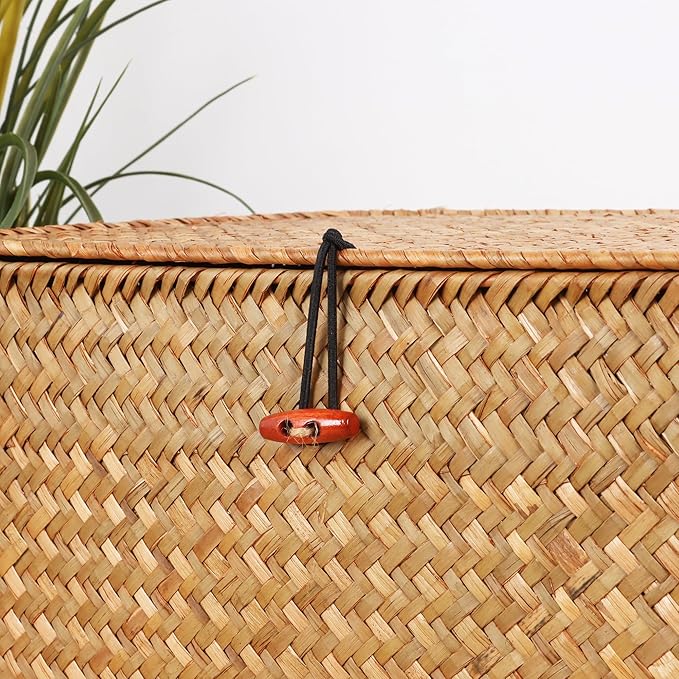 Wicker Shelf Baskets with Lid,Natural Seagrass Storage Basket Boxes Handwoven Rectangular Baskets Bins Multipurpose Home Organizer Decor (Small)