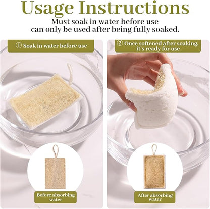 JOYMOOP Compressed Cellulose & Loofah Scrubbers, Non-Scratch Scrub Sponge, Kitchen Sponges for Dishes, 12-Pack, Dual-Sided Dish Sponge for Nonstick Cookware & All Surfaces