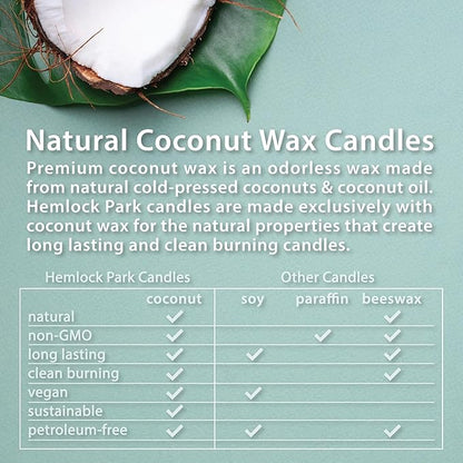 Hemlock Park Crackling Wood Wick Candle Handcrafted with Natural Coconut Wax (Standard 8 oz, Hinoki)