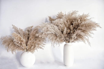 Pampas Grass Decor, Natural Dry Pampas Grass Small, Short Pampass Bulk for Farmhouse, Wall, Kitchen, Bedroom Decor, Office Decor (17 inch )