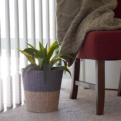 Household Essentials 2‑Tone Cattail Waste Bin with Handwoven Fibers and Metal Frame, Natural and Cream