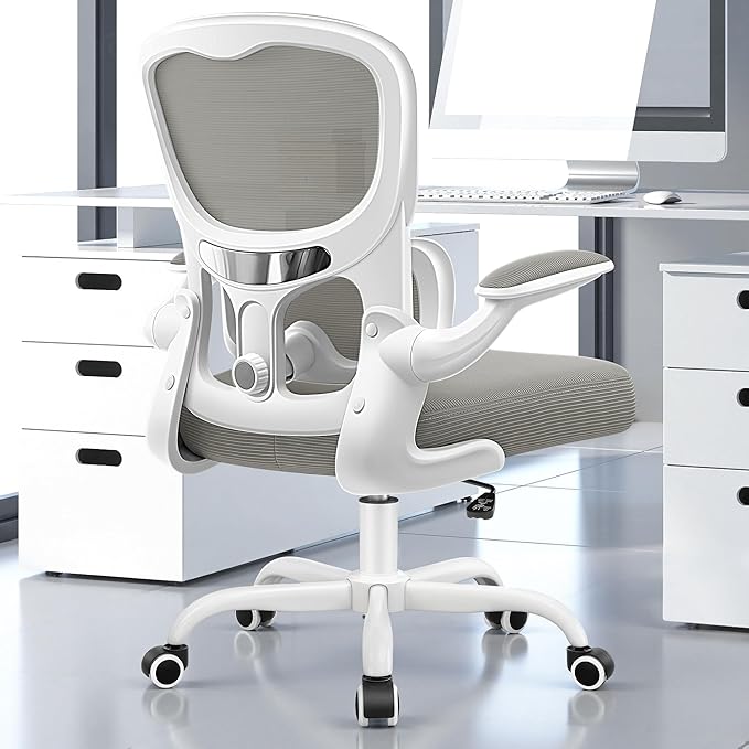 Ergonomic Office Chair, Breathable Mesh Ergonomic Desk Chair with Adjustable Lumbar Support, Flip-up Armrests, Computer Chairs Comfortable for Home, Office, Work, 300lbs, LightGray