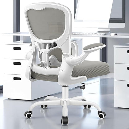 Ergonomic Office Chair, Breathable Mesh Ergonomic Desk Chair with Adjustable Lumbar Support, Flip-up Armrests, Computer Chairs Comfortable for Home, Office, Work, 300lbs, LightGray