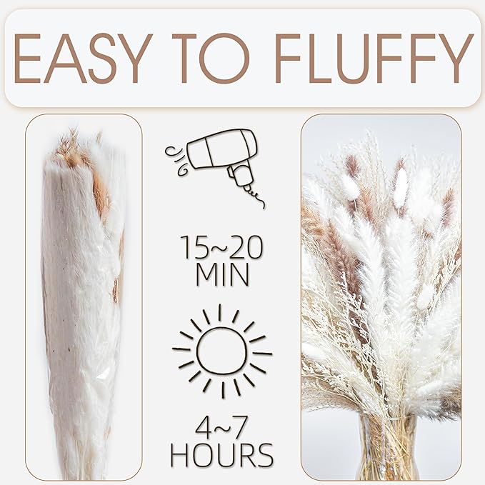220PCS Natural Dried Pampas Grass Boho Home Decor Bouquet Phragmites Dried Flowers Bouquet for Wedding Floral Arrangements Home Decorations (220PCS)