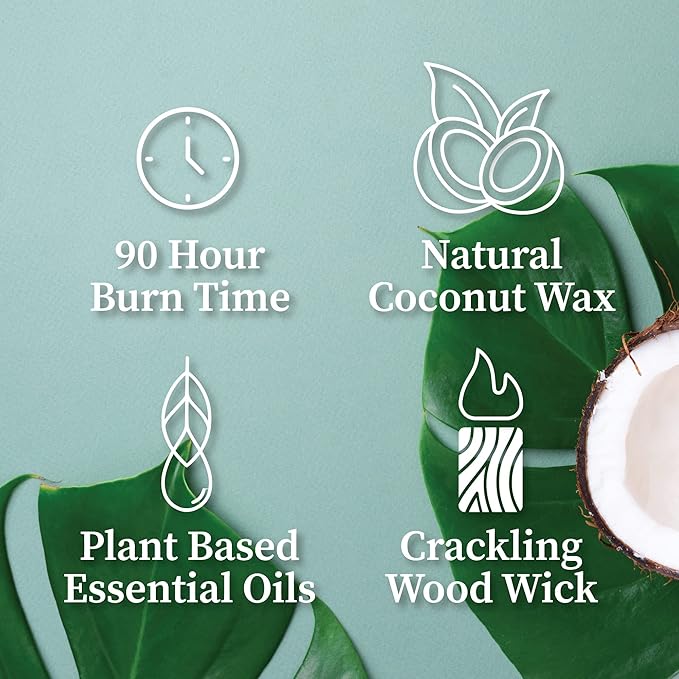 Hemlock Park Crackling Wood Wick Candle Handcrafted with Natural Coconut Wax (Large 16 oz, Amber)