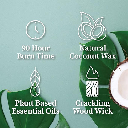 Hemlock Park Crackling Wood Wick Candle Handcrafted with Natural Coconut Wax (Large 16 oz, Palo Santo)