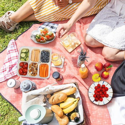 SMALL Divided Serving Tray with Lid and Handle, Portable Snack Box Container, 6 Compartments Veggie Fruit Snackle Tray,Charcuterie Box Container for Party, Travel, Entertaining,Picnic, SMALL SIZE