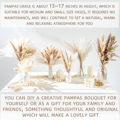 650PCS Natural Dried Pampas Grass Boho Home Decor Bouquet Phragmites Dried Flowers Bouquet for Wedding Floral Arrangements Home Decorations (650PCS)