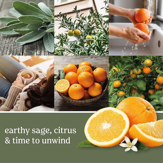 Yankee Candle Sage & Citrus Wax Melts, Pack of 18, for Candle Making and All Wax Warmers