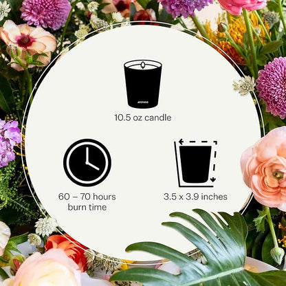 Apotheke Signature Scented Candles for Home, Cardamom Chestnut - 10.5 oz - Soy Wax, Non Toxic, Large Jar Blue - Luxury Candle Gifts for Women & Men - Vanilla & Woods