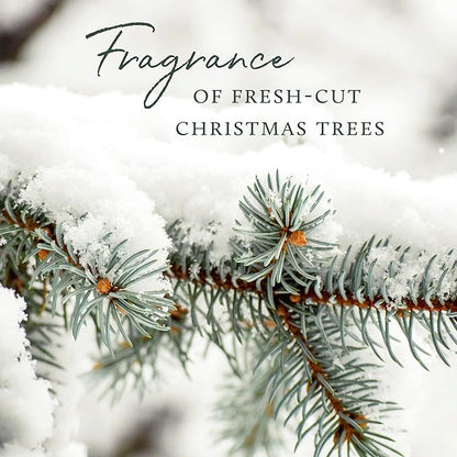 Thymes Frasier Fir Reed Diffuser Set – Includes Reeds, Fragrance Oil, and Frosted Glass Bottle – Fragrance Oil Diffuser – Room Fresheners – Luxury Home Decor – Green & Clear (Pine Needle, 4 fl oz)