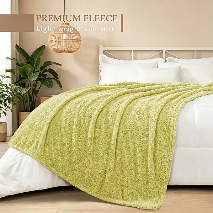 Exclusivo Mezcla Fleece Twin Size Bed Blanket, Ultra Soft, Lightweight and Fuzzy Light Green Blanket for Women, Home Decor, 60x80 Inches